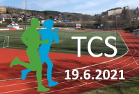 TCS Logo5 klein